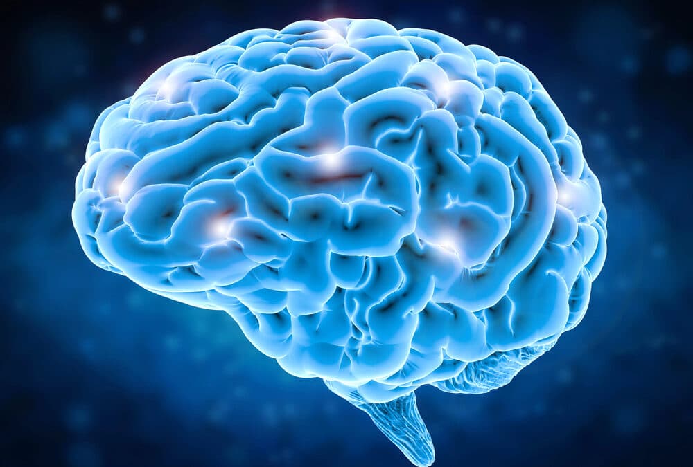 Ask a Dentist in Oak Park, IL: Can Oral Health Affect Your Brain?