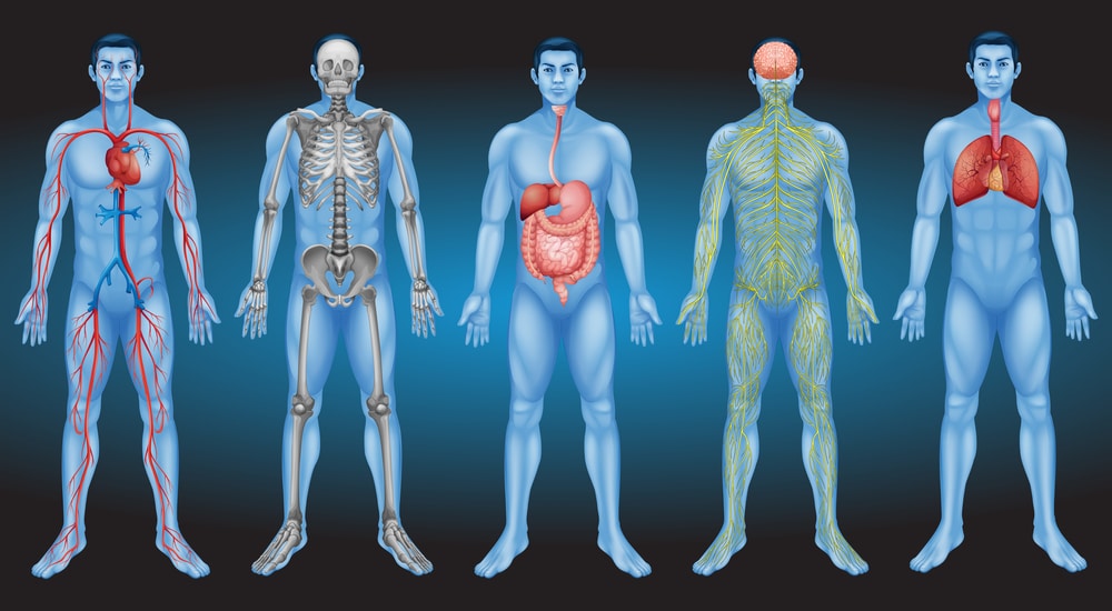 What Is Oral Systemic Health, and Why Should You Care?